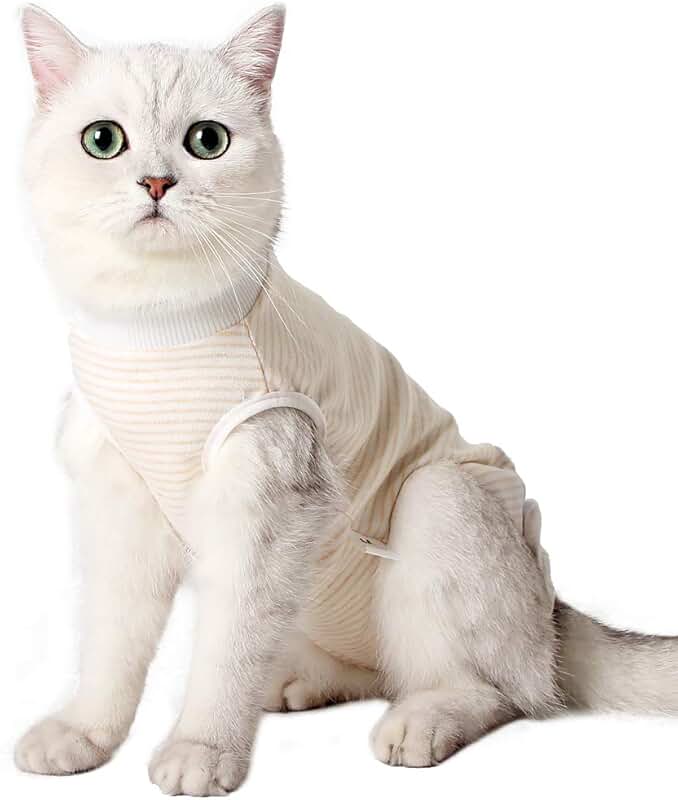 surgical recovery suit for cats