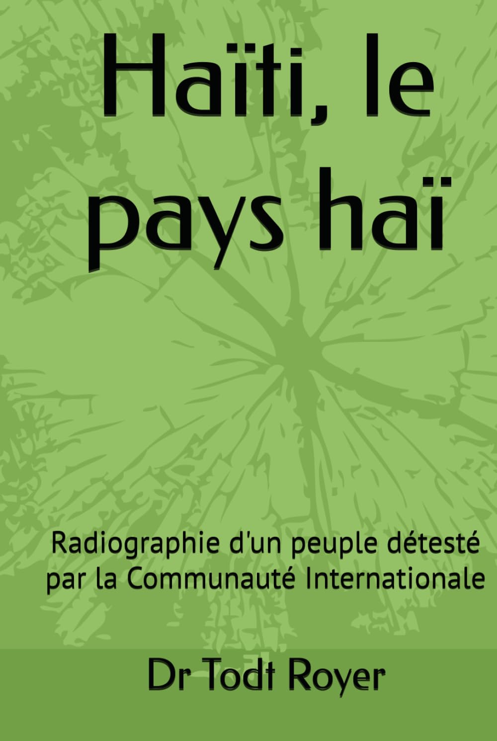 Haïti, le pays haï: Radiographie d'un peuple détesté par la Communauté Internationale