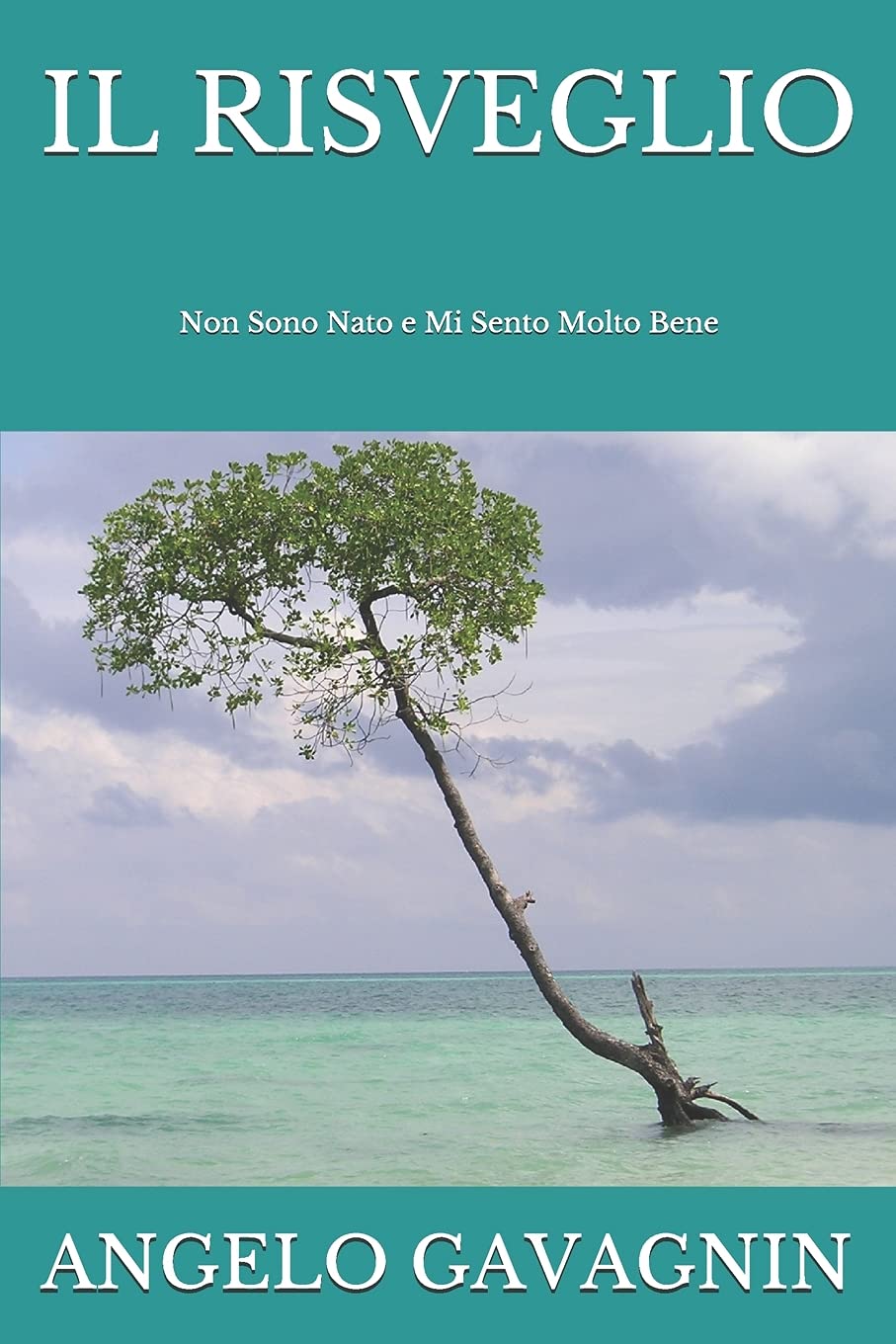 Il Risveglio: Non Sono Nato e Mi Sento Molto Bene (Italian Edition)