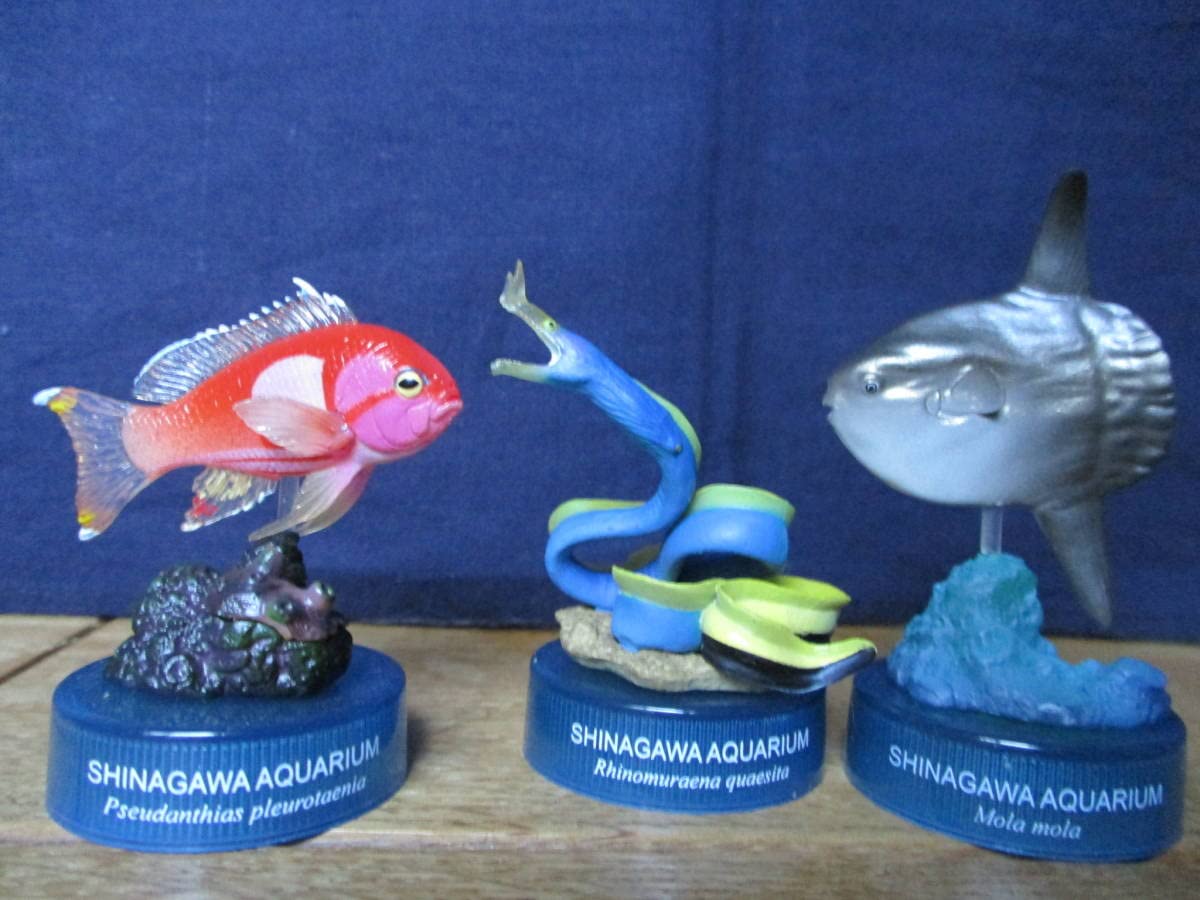 海洋堂 日本水族館立体生物図録4 全14種 コンプリート 秋の収穫祭