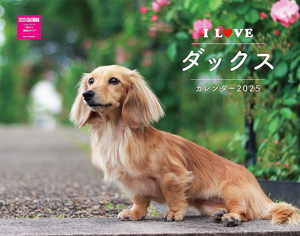 【新品未開封】アインシュタイン 写真集★NGKシュタイン限定グッズ 61lUlg8ERWL.jpg