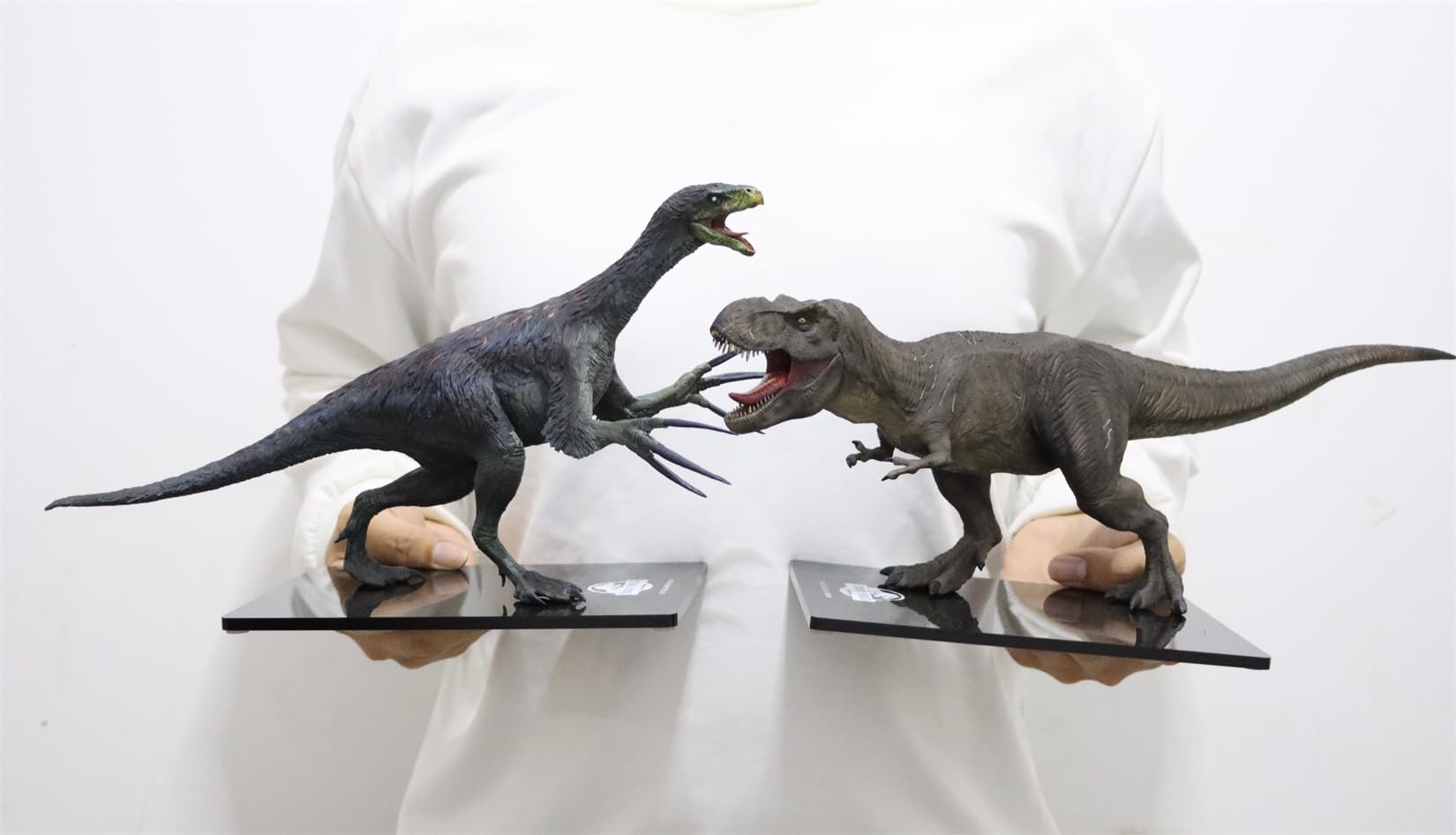 Amazon.com: WLNTDOLA: DINO DREAM