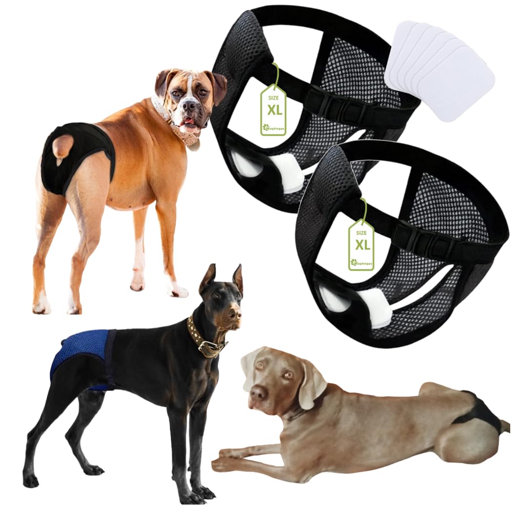 Pañales Perro Hembra.Bragas Perras Menstruales-Braga Celo Hembra-Braguitas Perro Celo-Braga Perro Celo Hembra-Bragas Perros Celo Hembra-2 uds Incluye 6 Toallas Sanitarias, Talla XL, Negro.