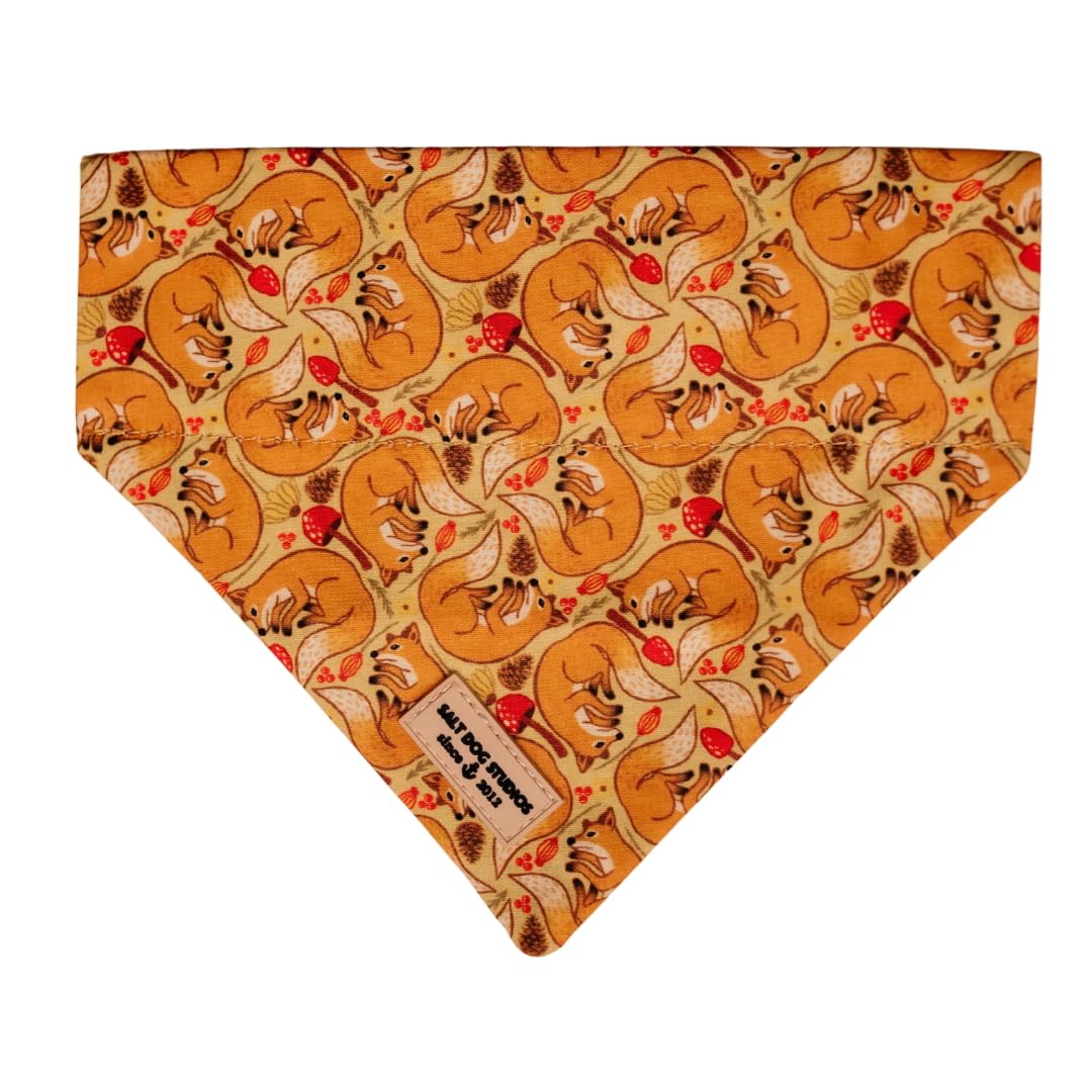 Salt Dog Studios Dog Bandana - Slip-On Dog Collar Bandana, Soft Cotton Dog Scarf for Small, Medium and Large Dogs, 19 (Foxes, Large) — image 1