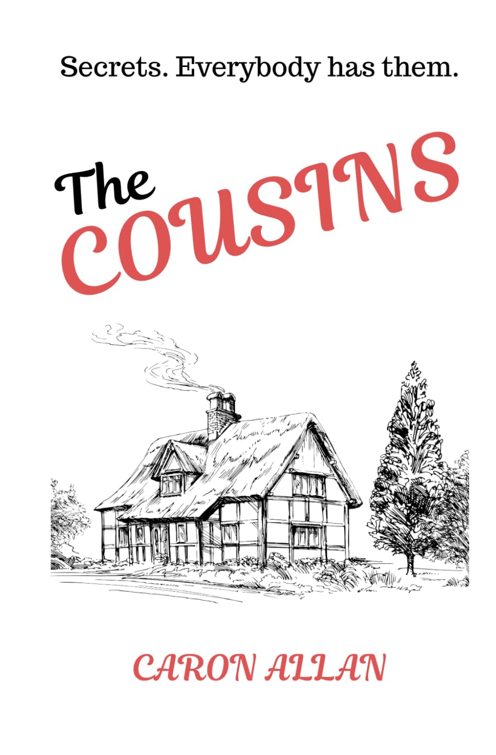 The Cousins: Secrets: Everybody Has Them
