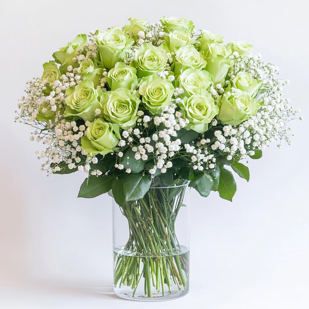 Amazon.com : GlobalRose Fresh 2 Dozen Green Roses & Fillers