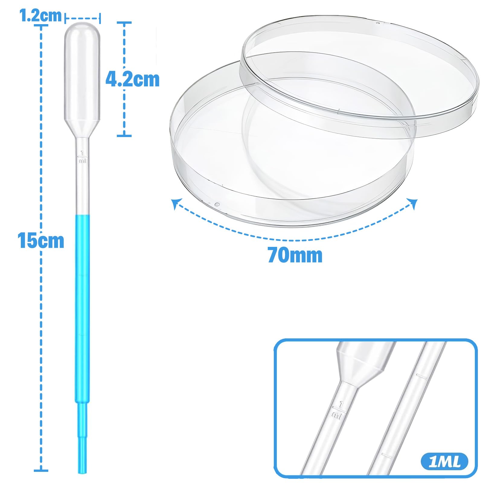 Kit De 6 Placas De Petri De Plástico De 70 Mm Con 10 Pipetas - Transparentes, Estériles, Para Cultivo Celular Y Experimentos
