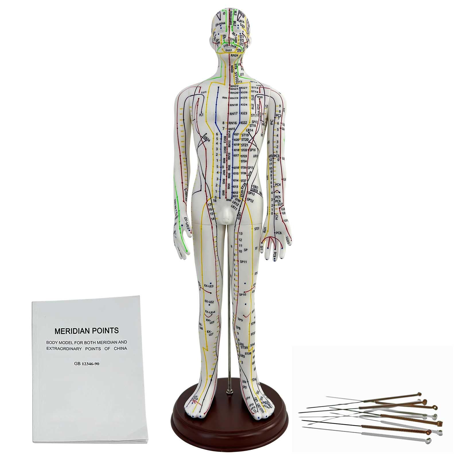 KDJFS 1/3 Life Size Human Acupuncture Model, 21'' Human Acupuncture Point Mannequin with Acupuncture Point Location Instructions Used for Needle Insertion Practice