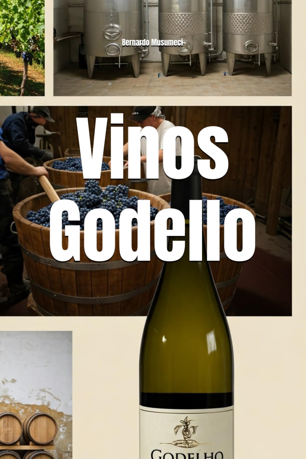 Vinos Godello (Wines of the World: Spain)