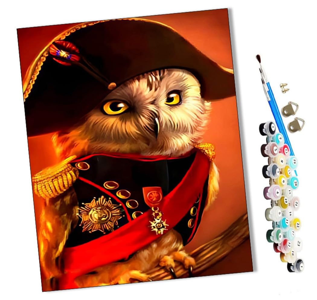 DIY Paint by Numbers Owl Soldier with Paint Brushes and Acrylic Painting Kit 16x20 Inch for Kids and Adults Beginner Gifts-Frameless