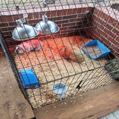 Image of 10Pcs Rabbit Litter Box Toilet,Bunny Plastic Square Cage Toilet with Grate Rabbit Corner Litter Bedding Small Animal Potty Training Box Pet Poop Pan for Bunny Guinea Pig Ferret Chinchilla(Blue)