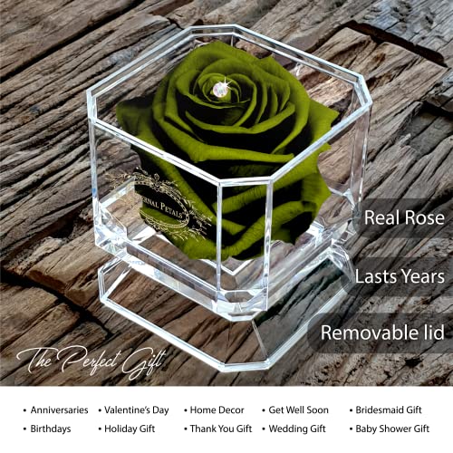 Eternal Petals A 100% Real Rose That Lasts Years, Handmade in UK - Gold Solo with A Multicolour Crystal (Dark Green) - Image 2