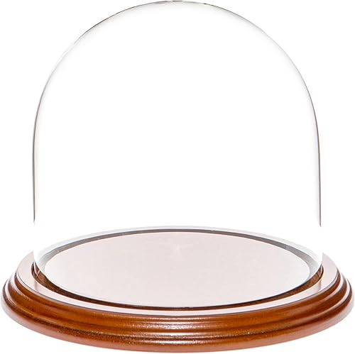 Miniatura 7 de Plymor Cúpula de cristal de 5.5" x 5.5" (base de chapa de madera negra)