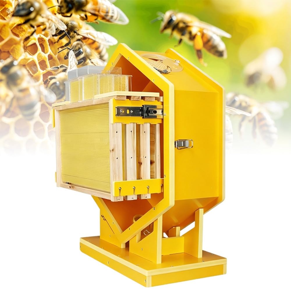 Kit di Base per Alveare,Alveare Decorativo,con Finestra Acrilica,3 Cornici E 6 Vassoi,Cerniere Rinforzate in Acciaio Inossidabile,per Appassionati,per Apicoltura Educativa
