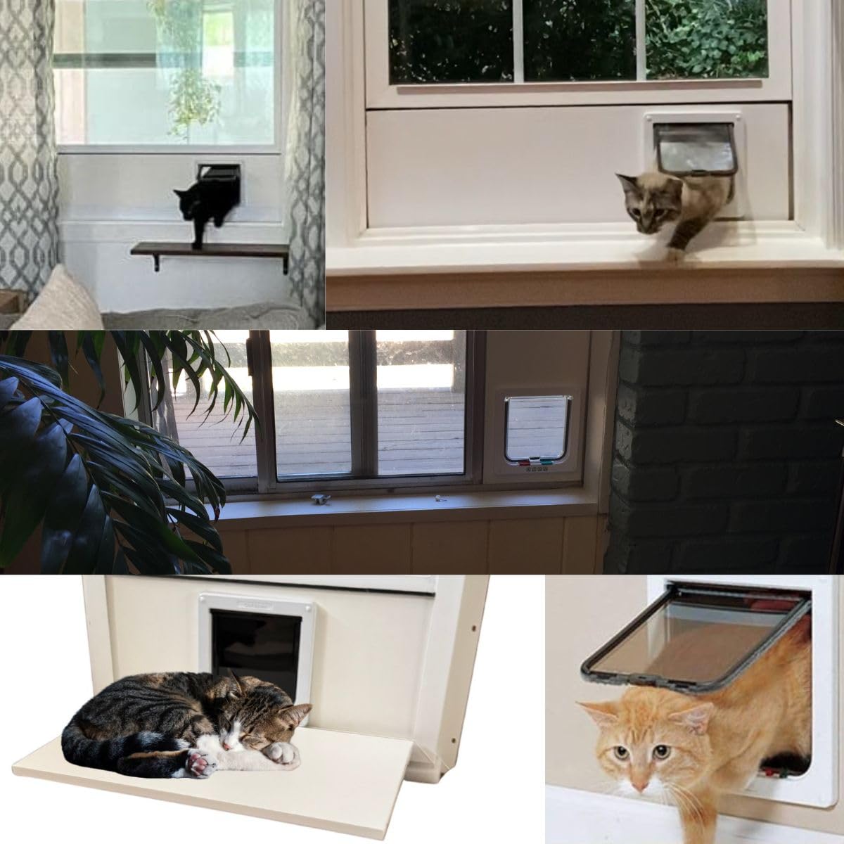 How to Instal a Cat Door: Easy Steps for a Perfect Fit