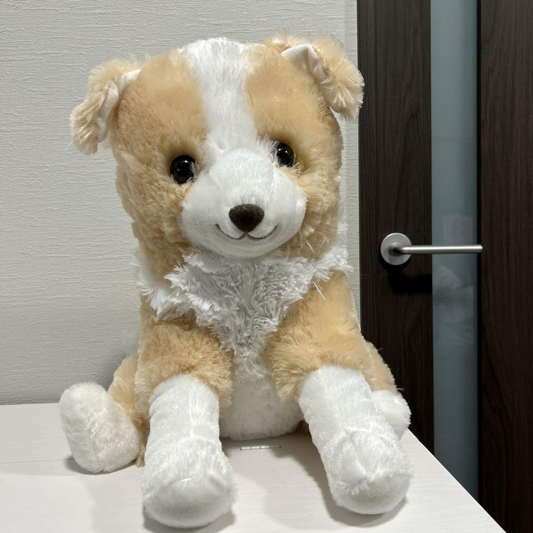Amazon.co.jp: ボーダーコリー マロン ぬいぐるみ : おもちゃ