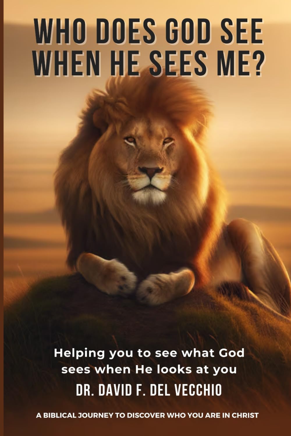 Who Does God See When He Sees Me?: A Biblical Journey to Discover Who You Are in Christ