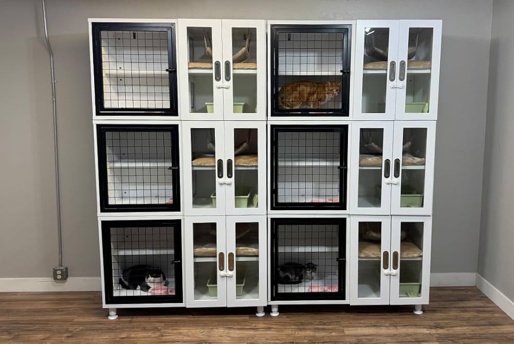 family cats　0331 family cats 0331 ZX Primary Gas-insulated Switchgear | ABB