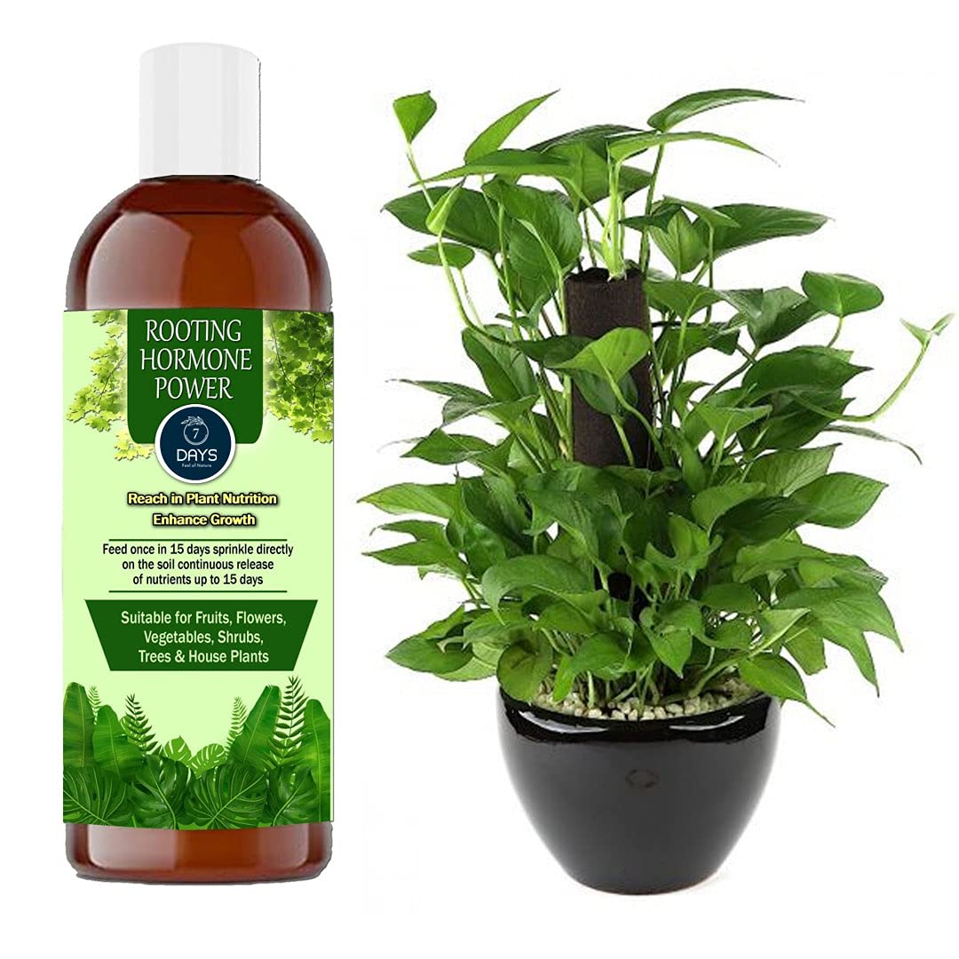 7DAYSNATURAL Fast Root Dry Powder Rooting Hormone for Plant Grow Nutrition 500 ML