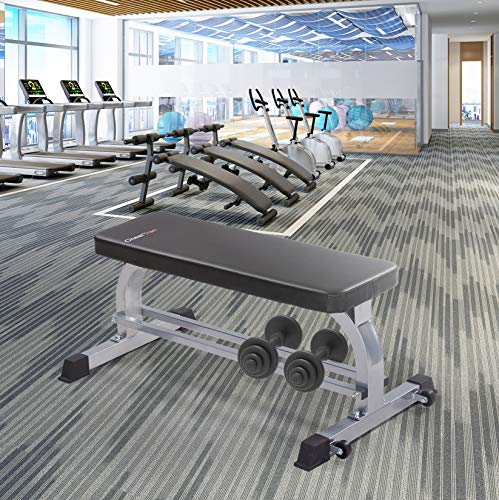 Flat Weight Workout Bench, Cheertran 700LBS Exercise Bench for Weight Training and Ab Exercise - Utility Workout Benches for Home
