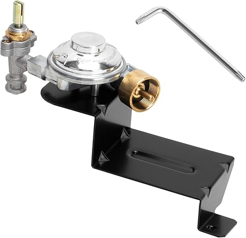 64866 Reemplazo del conjunto de válvula y regulador para Weber Q1000 1200, regulador de válvula de parrilla para Weber 51210001 51200001 51190001