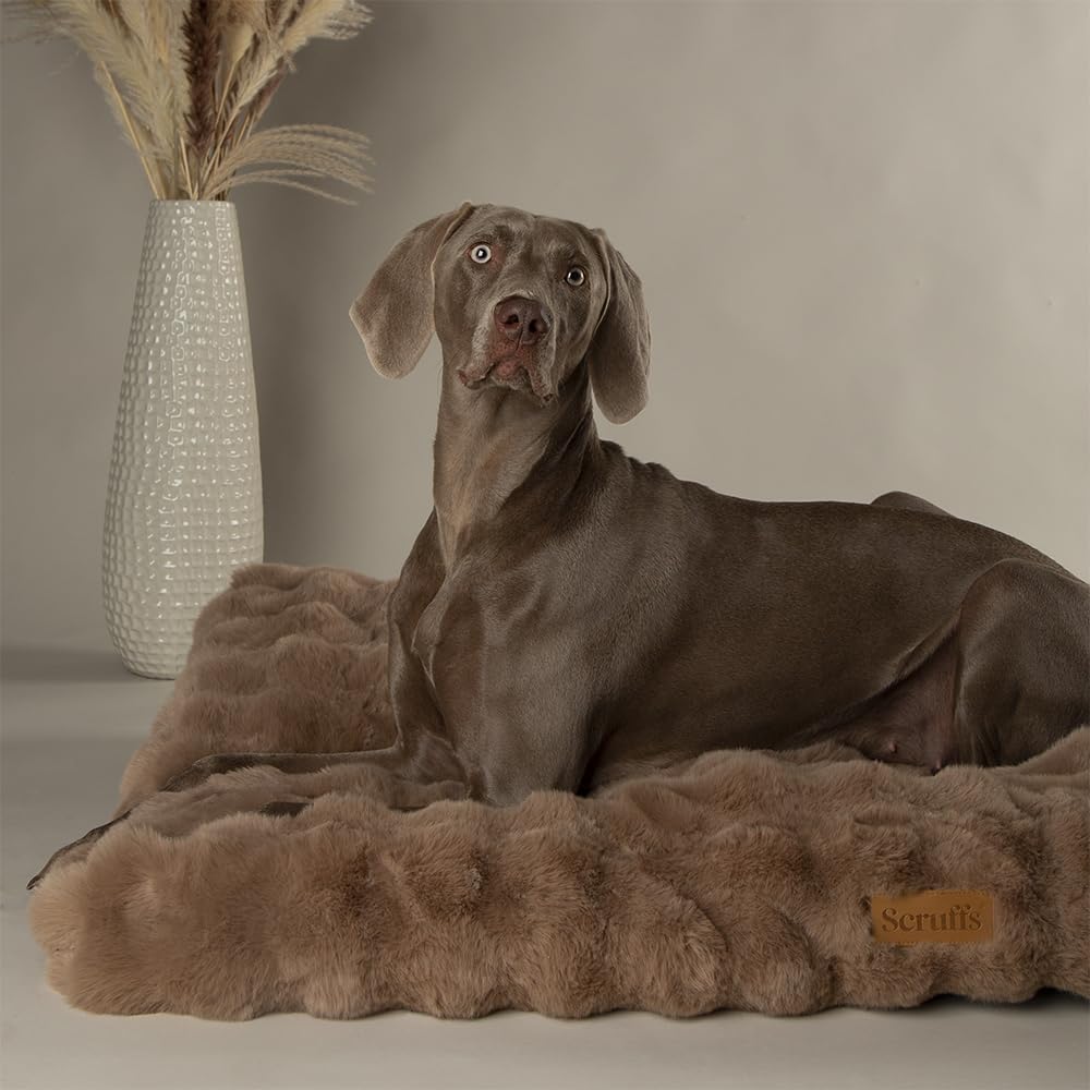 Scruffs Luxury Alpine Dog Bed Mattress (L)