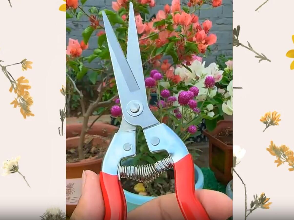 Set de 2 Tijeras de Poda para Jardín de Acero Inoxidable miniatura 7