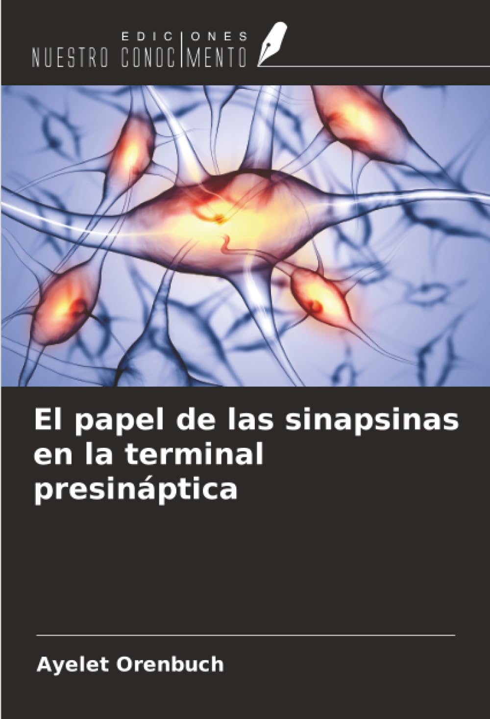 El papel de las sinapsinas en la terminal presináptica