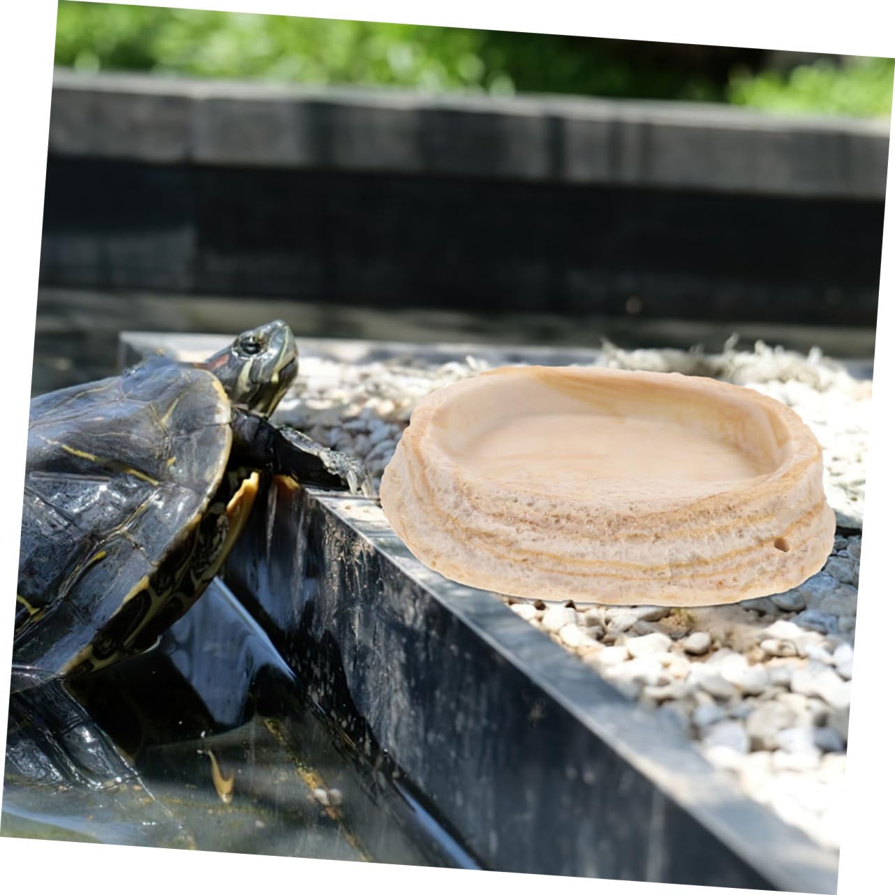 2 Cuencos de Resina para Reptiles Borde Antivuelco, para Geckos y Serpientes en Terrario