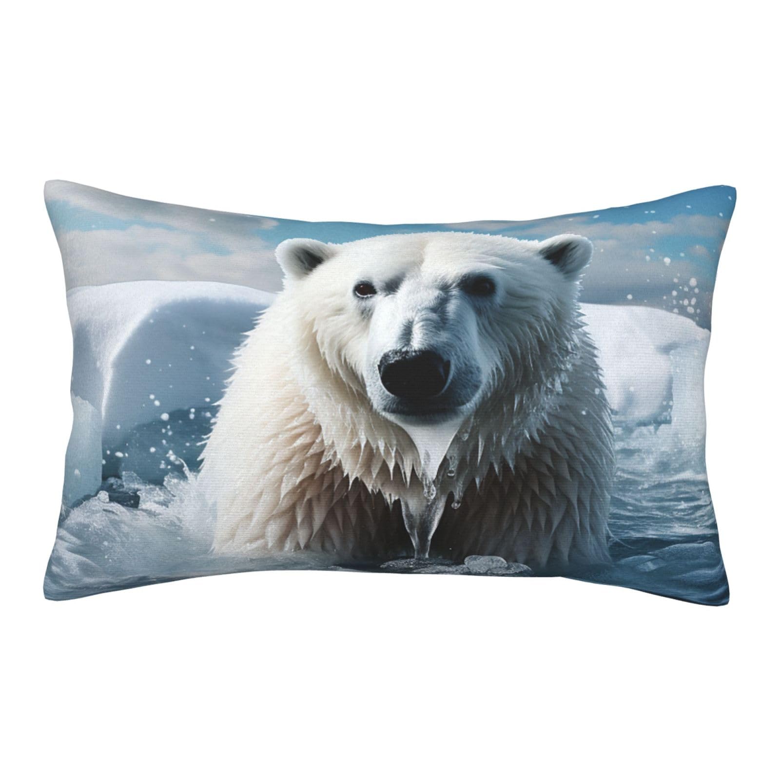 Velvet Pillowcases 16"x24" Ultra Soft Breathable Pillow Cases, Luxury Fuzzy Throw Pillow Covers with Zipper, Bear Pillow Shams All Seasons Decorative Cushion Cases for Couch