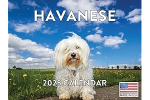 2025 Lhasa Apso Wall Calendar - A Year of Joy