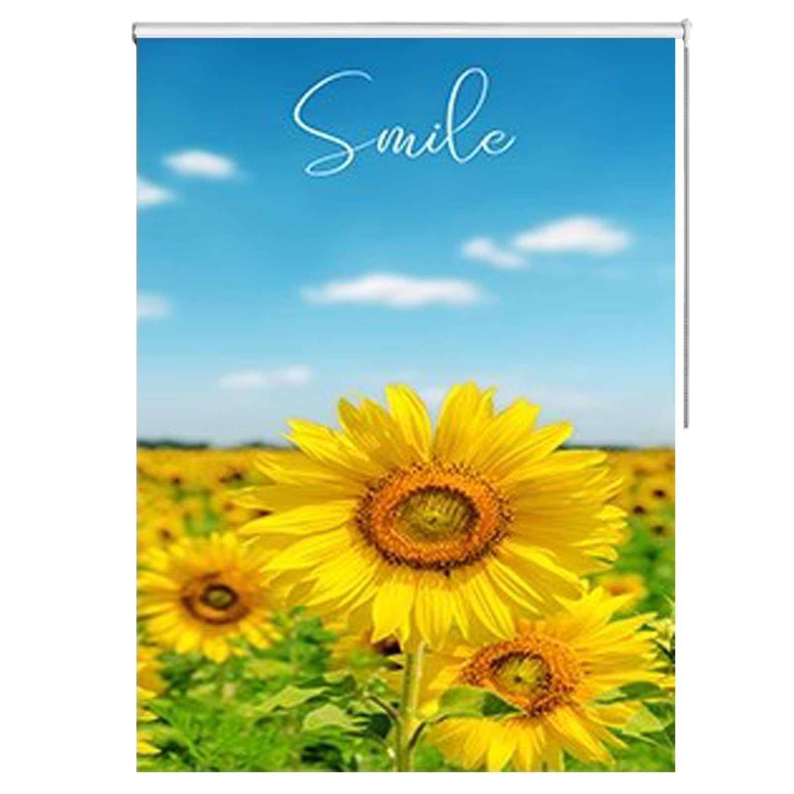 ENHEN Roller Blinds Sunflower Pattern Roller Blinds for Kitchen Windows, 100% Blackout Trimmable Pull Down Curtains, 65/75/85/95/105/115/125/135/145 cm Width (Size : 125cmx125cm/49.2inx49.2in)