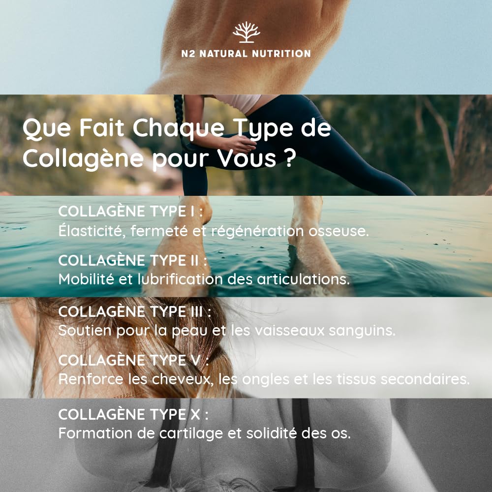 Multi Collagène Marin et Bovin 1650mg. 180 Gélules. Peptide de Collagene Hydrolysé Type 1, 2, 3, 5, 10. Complexe Collagene pour la Peau, Articulations et Cheveux + Vitamine C. N2 Natural Nutrition