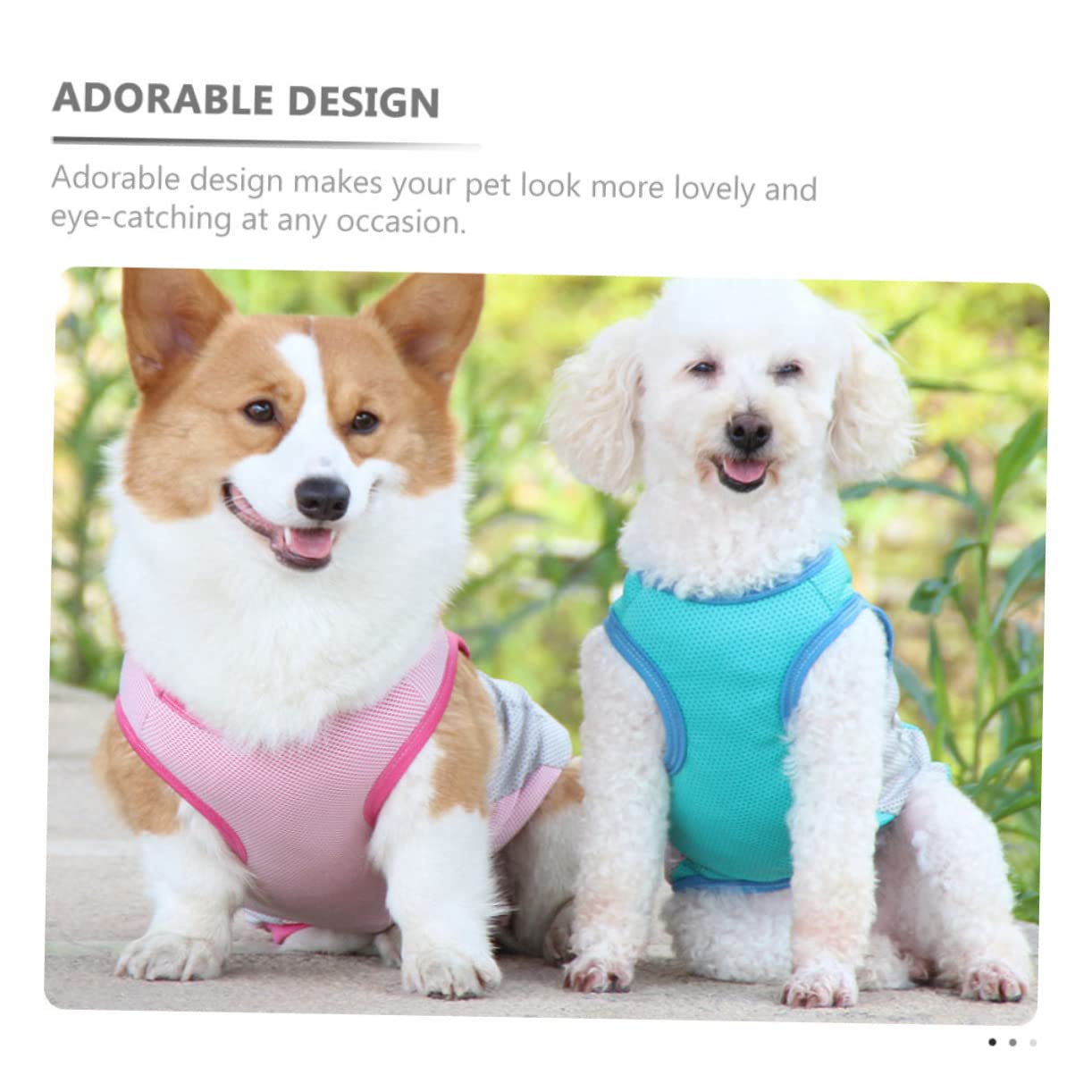 Manteaux de Pluie imperméables pour Chien, imperméable pour Chien, 2 pièces, Gilet rafraîchissant pour Animaux de Compagnie, imperméable, Robe pour Chien, chem