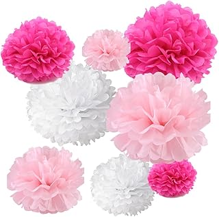 Tissue Hanging Paper Pom-poms Flower Ball Wedding Party Outdoor Decoration Tissue Paper Pom Pom Flowers Craft Kit (Fuchsia & Pink & White)
