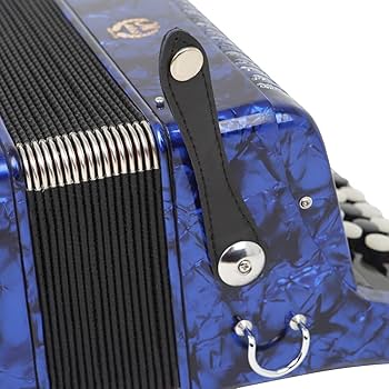 アコーディオン　美品　22キー　キーボードアコーディオン アコーディオン 美品 22キー キーボードアコーディオン - メルカリ