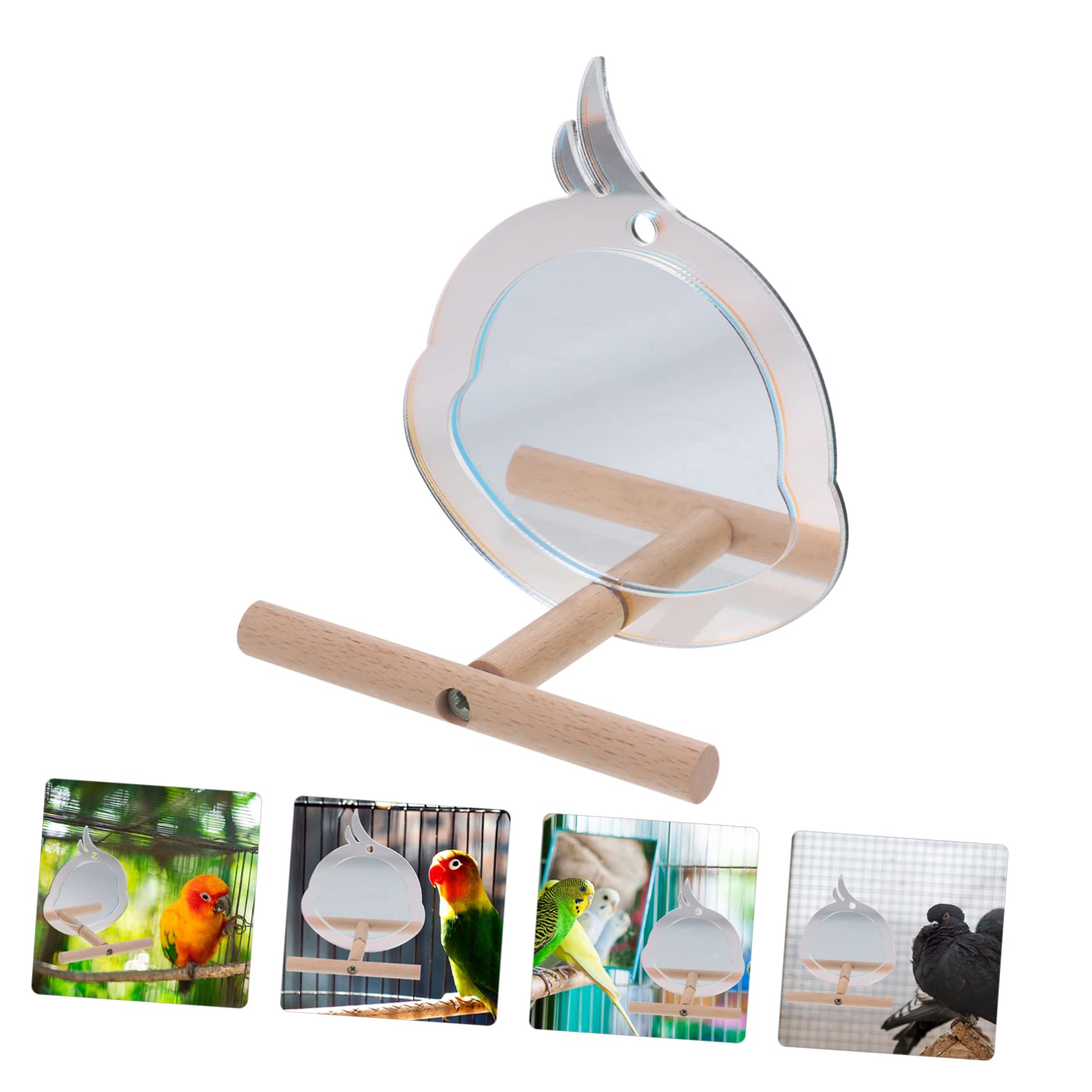 Yardwe 5St Papageienbarsch Spielzeug für Papageienkäfige Zweige des Papageienständers Vogelkäfigständer Haustier-Spiegelspielzeug Käfig Vogelspielzeug Vogelzubehör Vogel Steht Acrylsäure