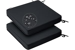 GUEGLSA 18 x 18-Inch Outdoor Cushion 2-Pack