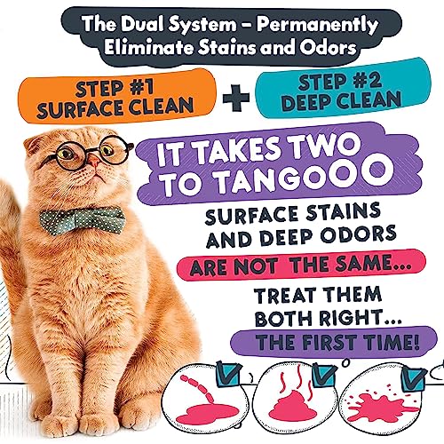 Calyptus CALYPTUS-PET-ODOR+STAIN-2X-64OZ Pet Stain And Odor Remover | Orange And Enzyme Cleaner Duo Solution thumb #2