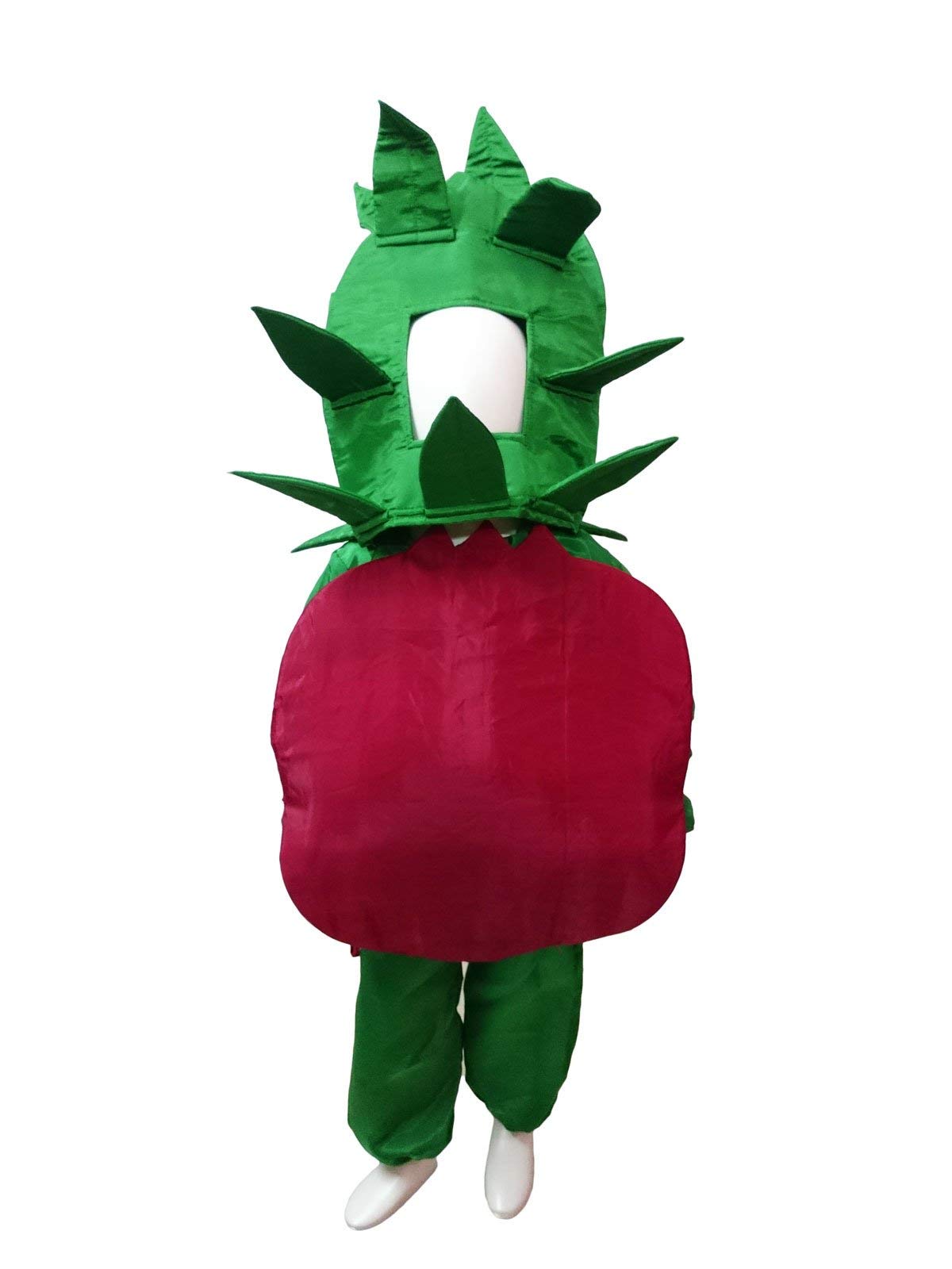 BookMyCostume Pomegranate Anar Fruit Kids Fancy Dress Costume 5-6 years (B08KT916HV) Amazon Price History, Amazon Price Tracker