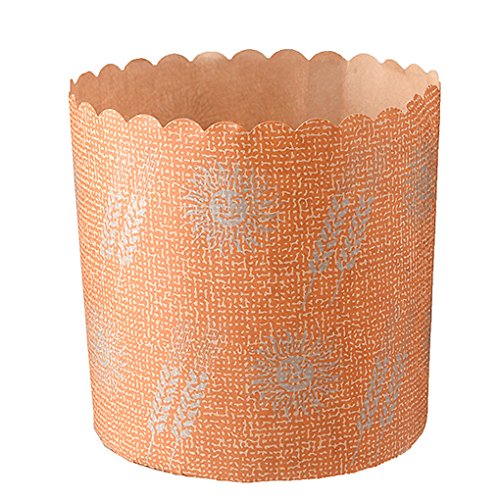 xVX(TOMIZ) plg[lJbv () 100 (}tBJbv/plg[l/NX}X/Ɩp)