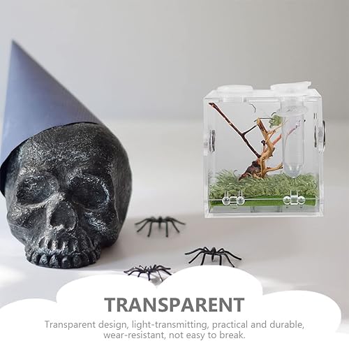 balacoo 8 Sets Jumping Spider Enclosure with Ventilation Holes Clear Plastic Spider Habitat Terrarium Micro Scorpion Breeding Box with Tweezers for Reptile Care