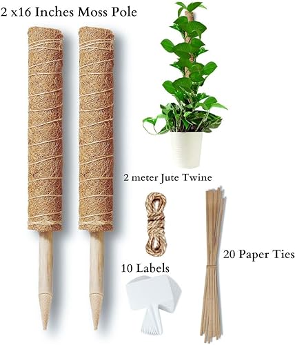 Miniatura 2 de Monstera - Poste de musgo para plantas, 2 piezas, 16 pulgadas, estacas para plantas de interior, poste de musgo para plantas trepadoras, poste de