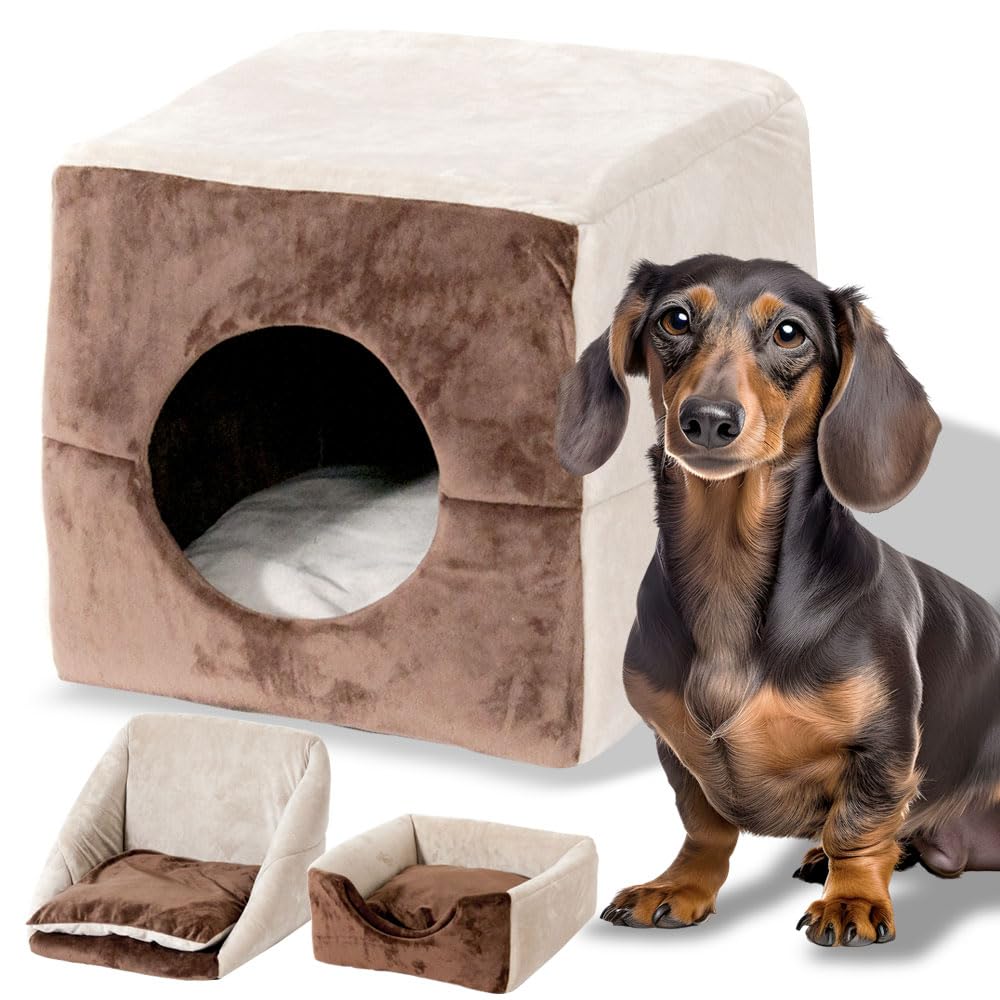 Amazon | プチリュバン 犬 猫 ベッド ペットベッド スクエア ブラウン