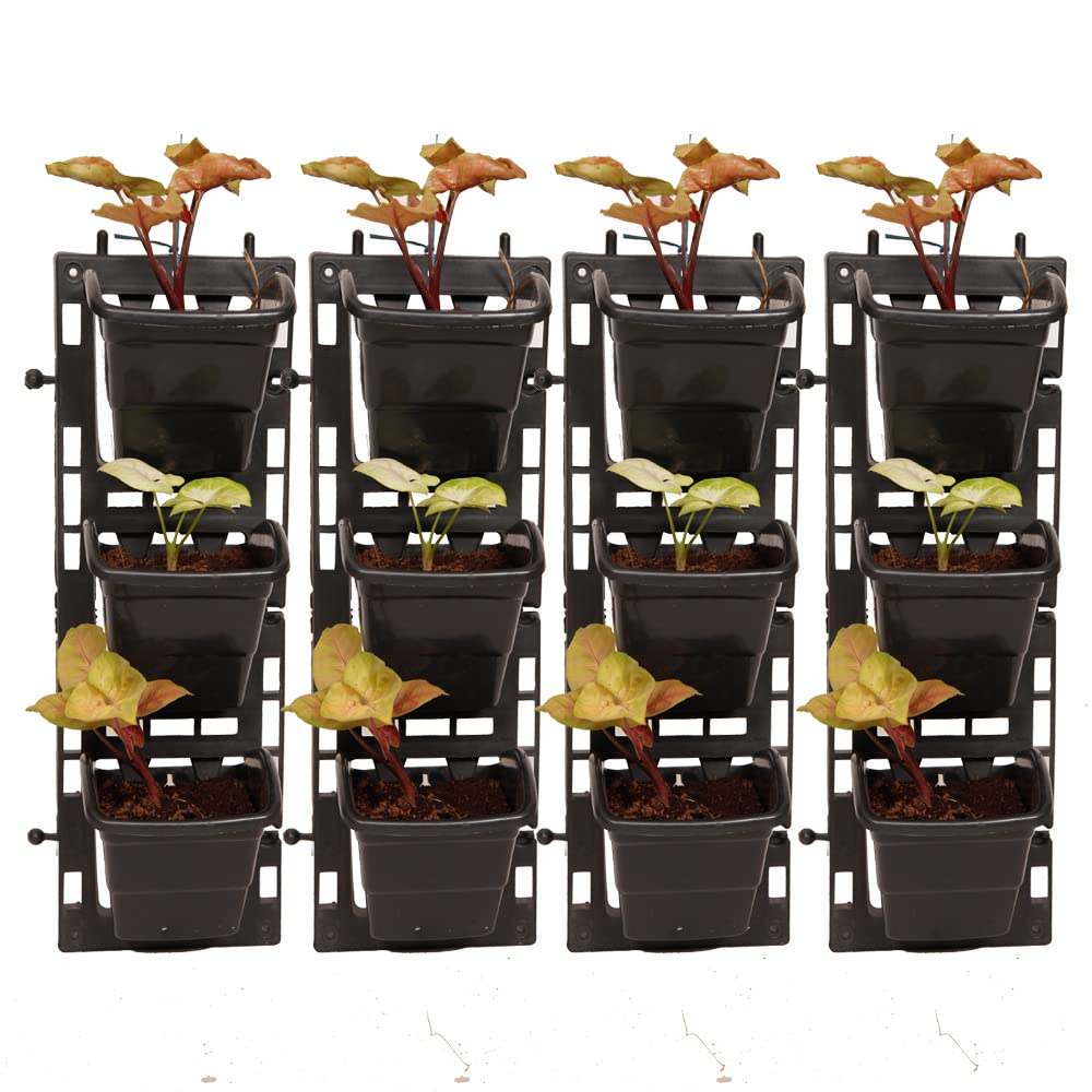 4K argo Vertical Wall Garden 4 Panel with Hanging 12 Pots (Black, Color) (B097Q235LB) Amazon Price History, Amazon Price Tracker