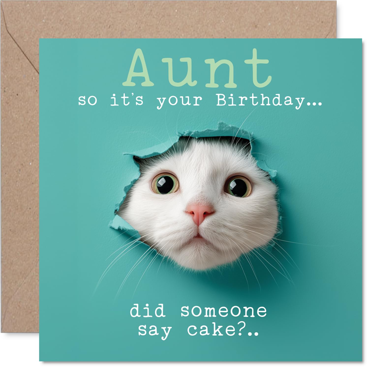 Aunt Birthday Card - Catty Cake Catty Cake - Happy Birthday Card for Aunt from Nephew Niece, 145mm cute cat humorous Bday Greeting Cards