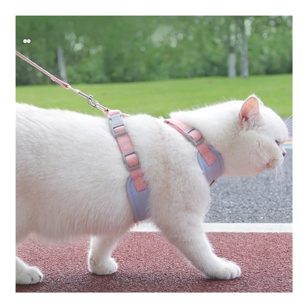 DCNIYT - Set di pettorina e guinzaglio per gatti, regolabile, a prova di fuga, per chihuahua e carlino, guinzaglio per passeggiate all'aperto (oro, XS, 2-3 kg)