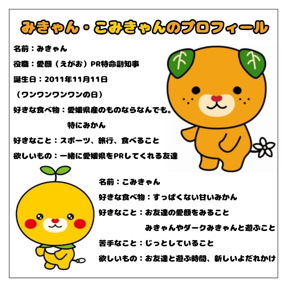 Amazon.co.jp: RICHSTON ダイヤモンドアート 【みきゃん＆こみきゃん