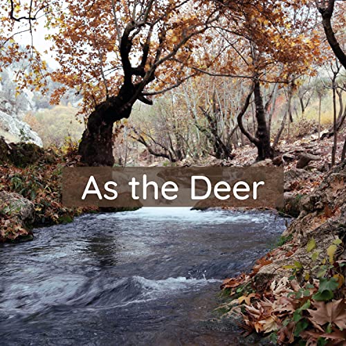 The Best deer cover Top 20 Picks By An Expert licorize