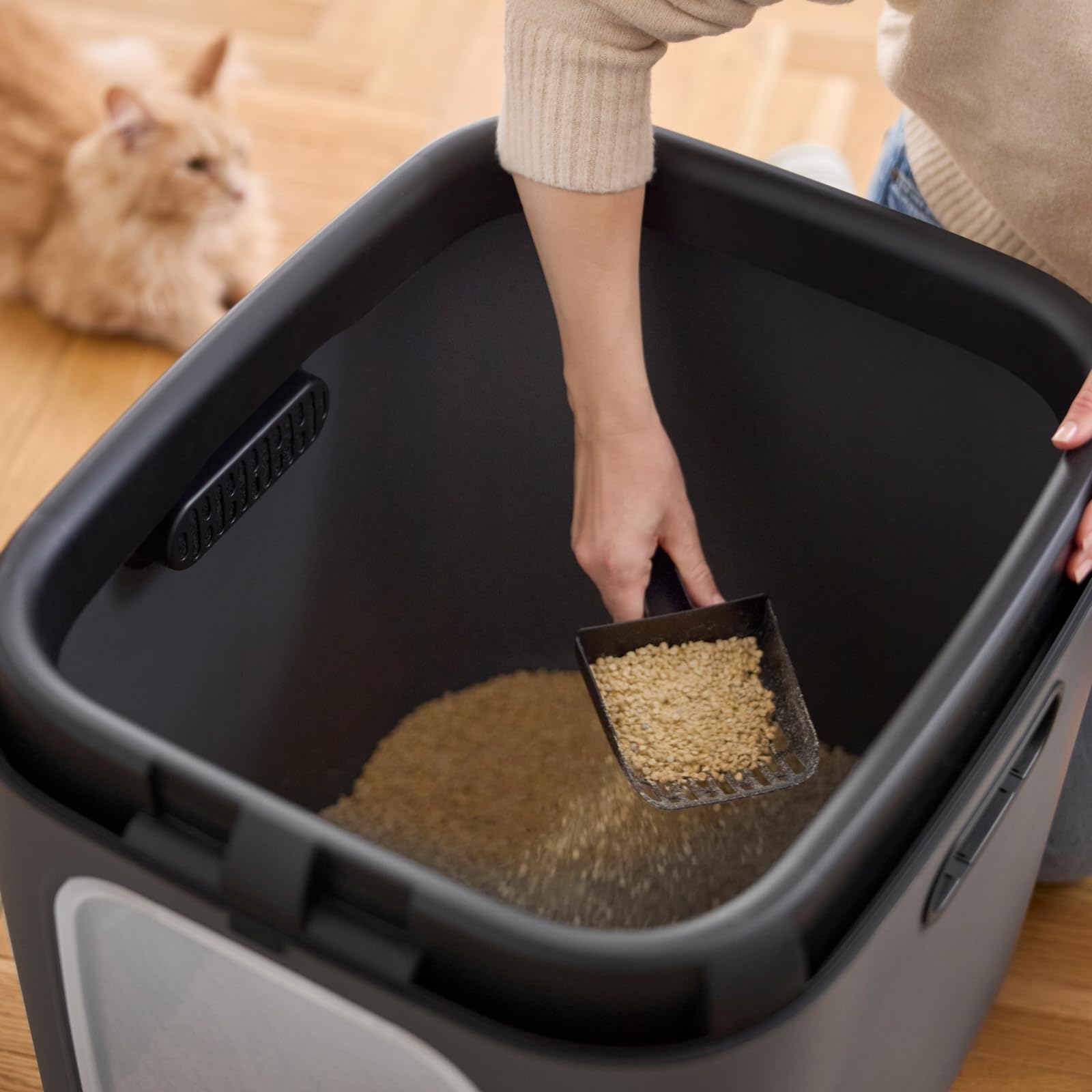 Rotho Biala XL - Caja de arena para gatos, color antracita